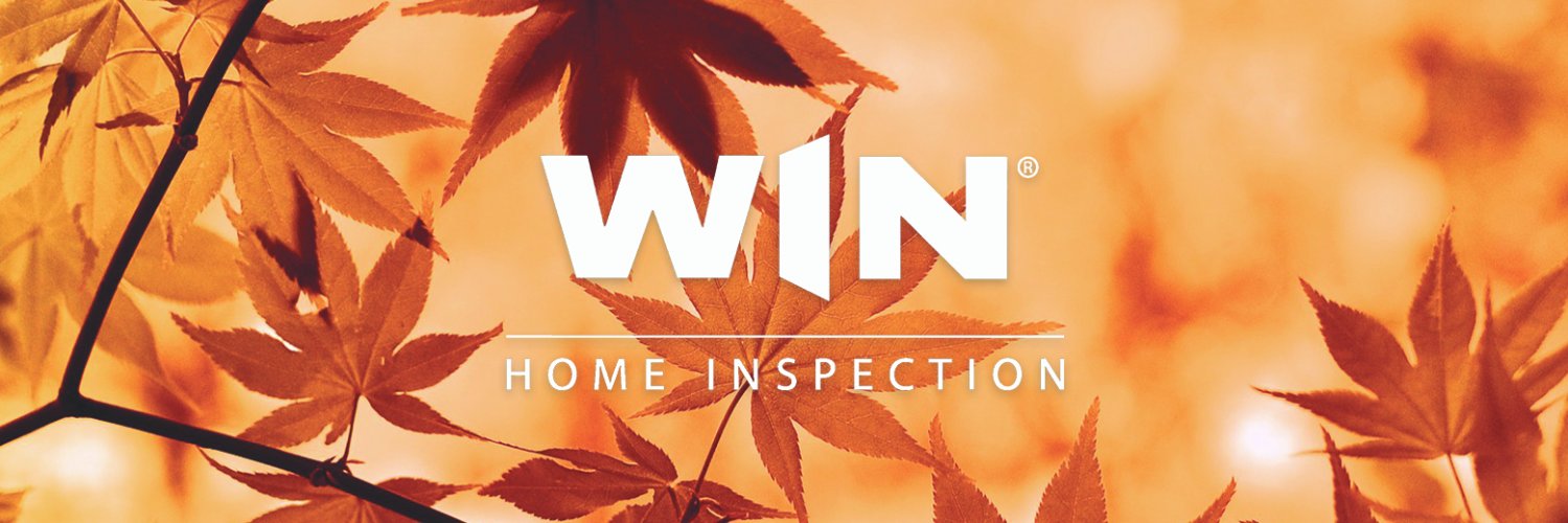 winmtvernon's profile banner image