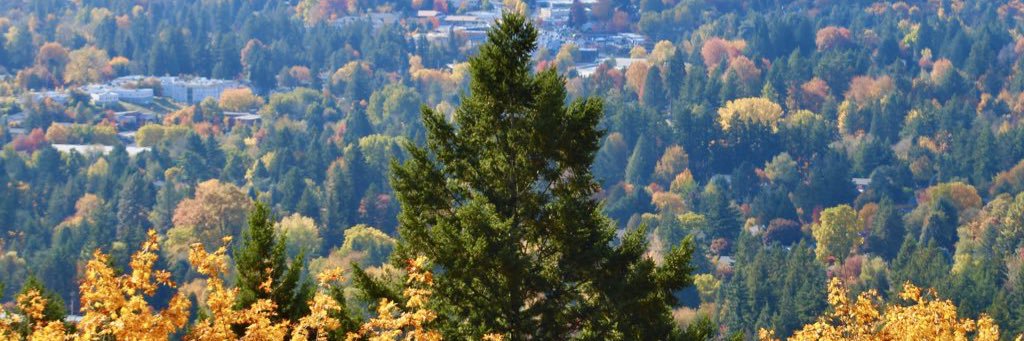 Jeff Forgeron banner