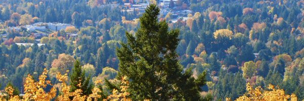 WeatherJefe Profile Banner