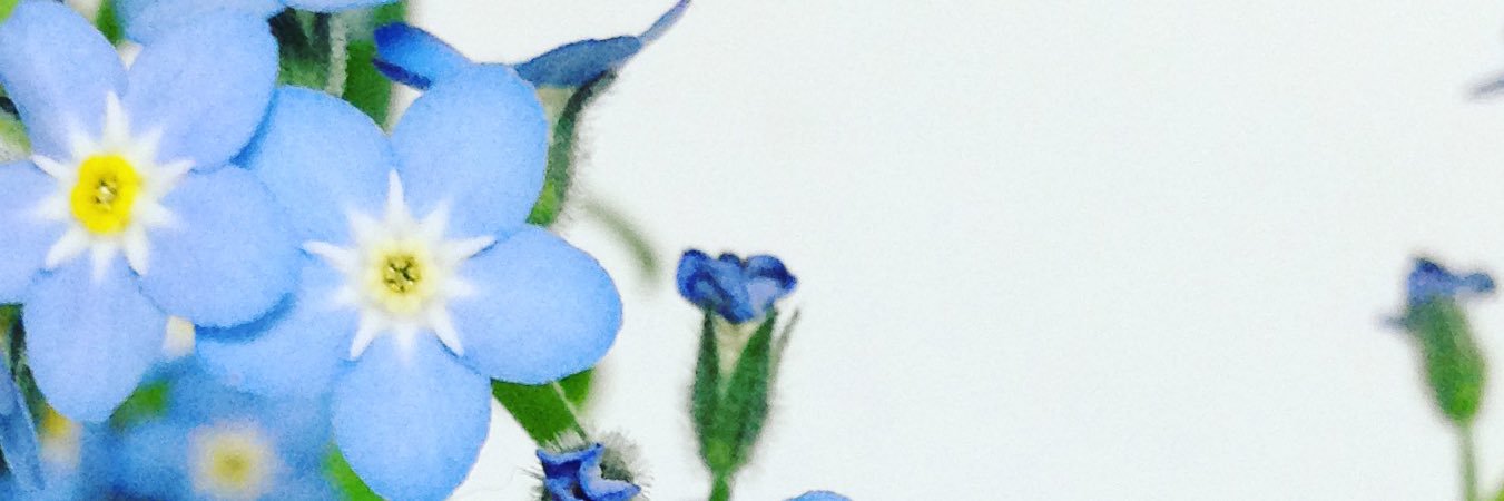 kyo_yf's profile banner image