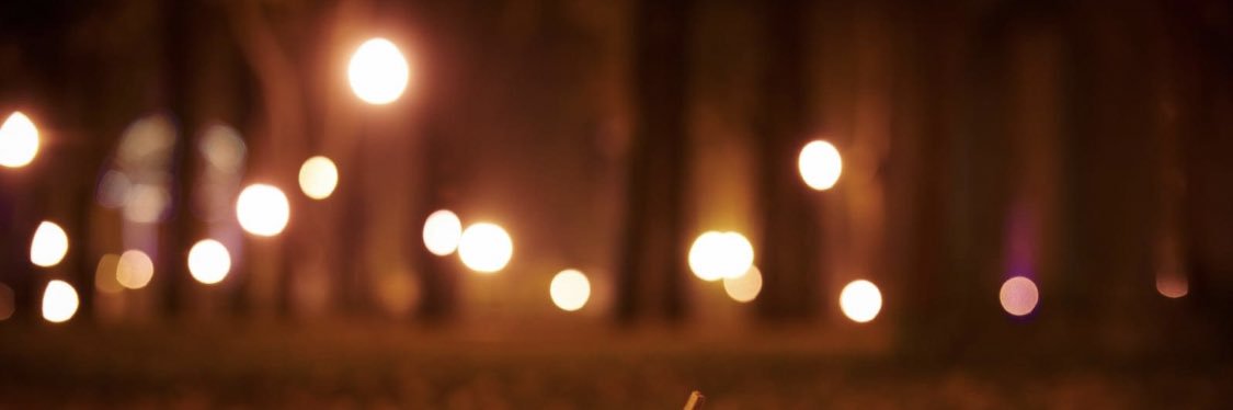 HaleyHospo's profile banner image