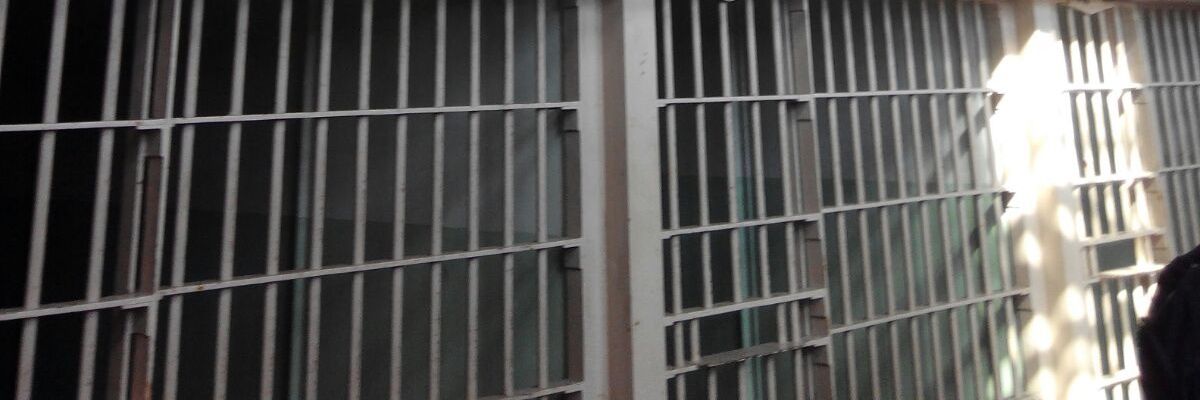piterdpc's profile banner image