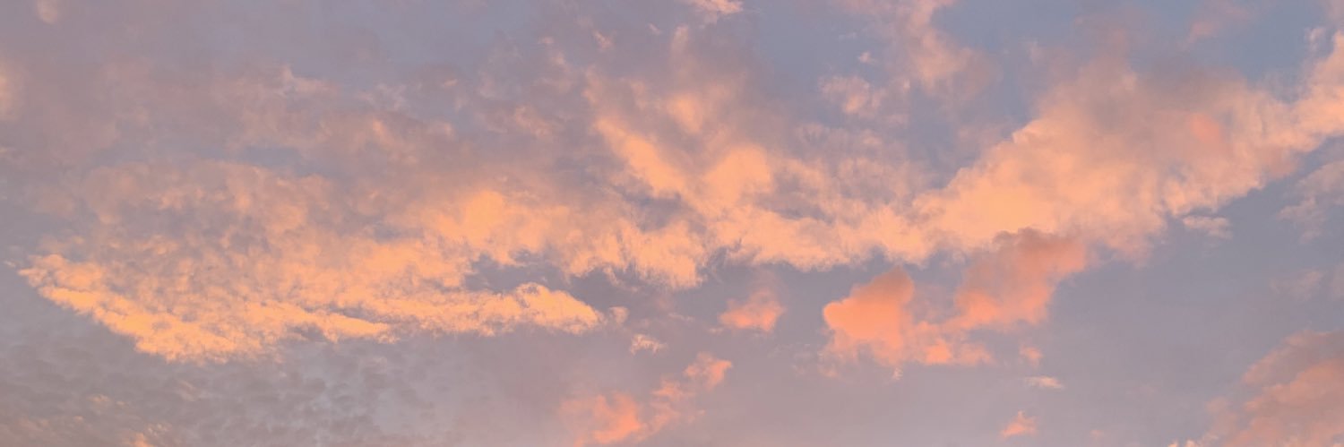 _nicolelobo's profile banner image