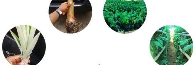 Agrobosco ® banner