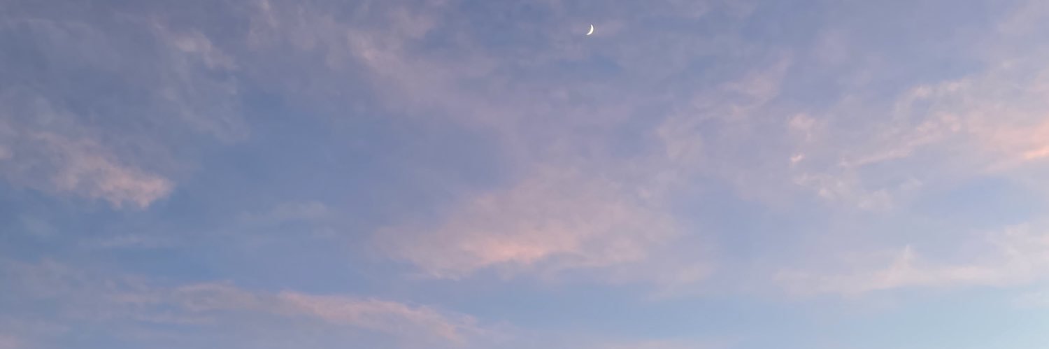 wtfelaina's profile banner image