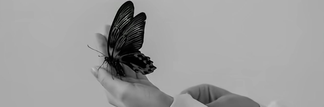 slilils's profile banner image