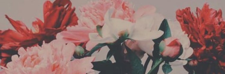a_dominant's profile banner image
