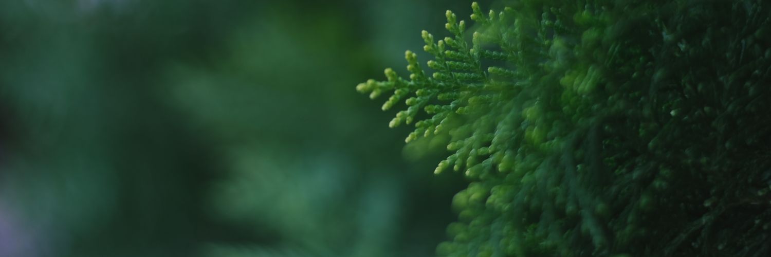 _iahcakke's profile banner image