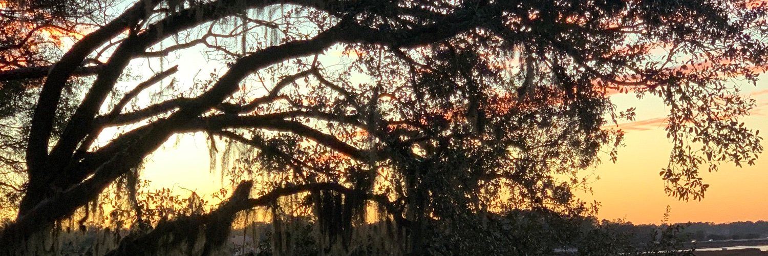EmilyJ_Hall's profile banner image