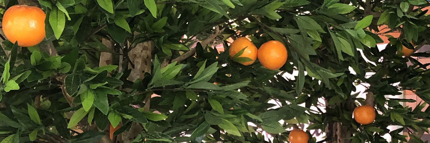 meiiyi_'s profile banner image