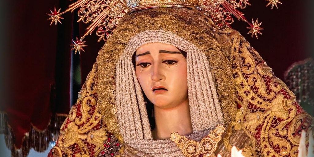 susortega's profile banner image
