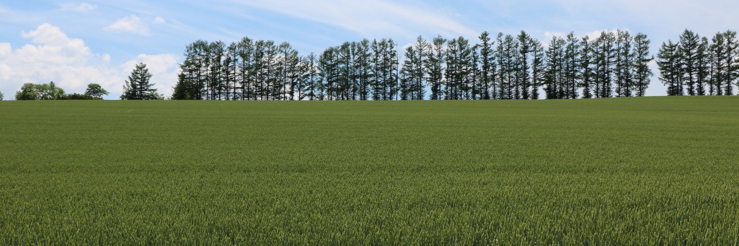 swingpai's profile banner image
