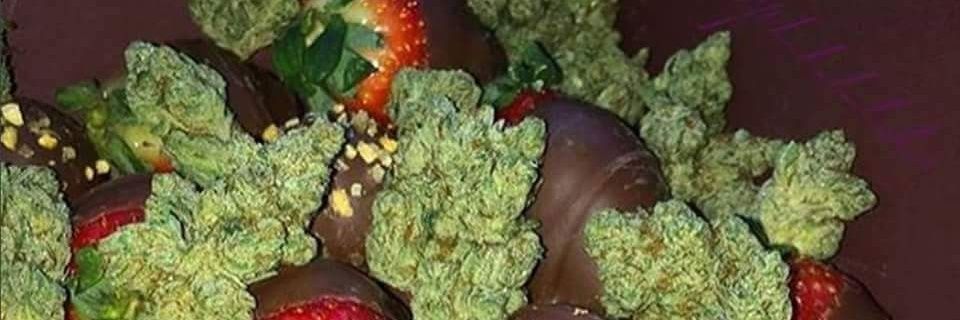 loveMouhid's profile banner image