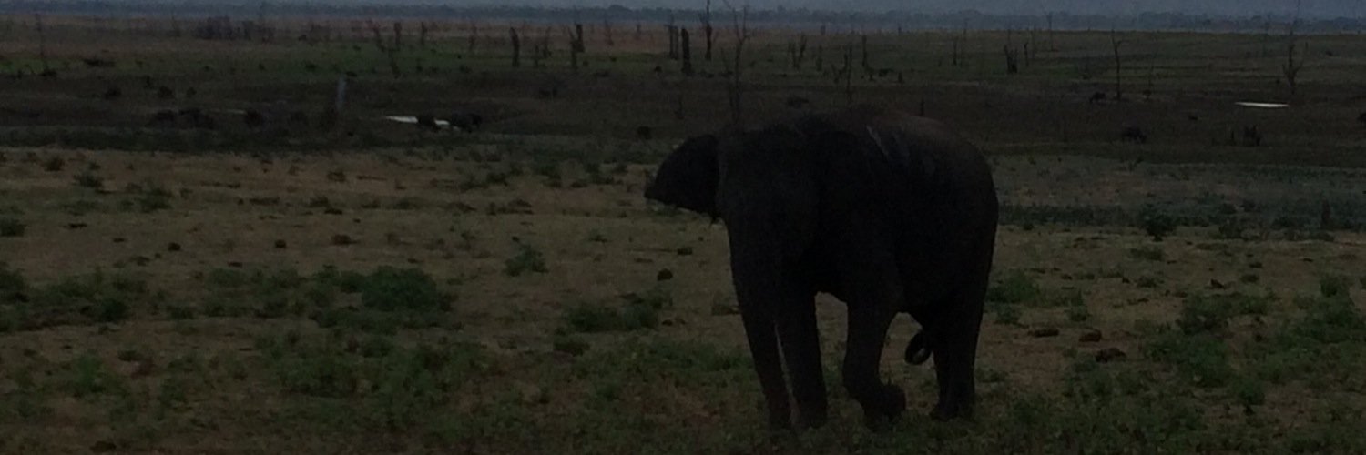 Andrew Williams banner