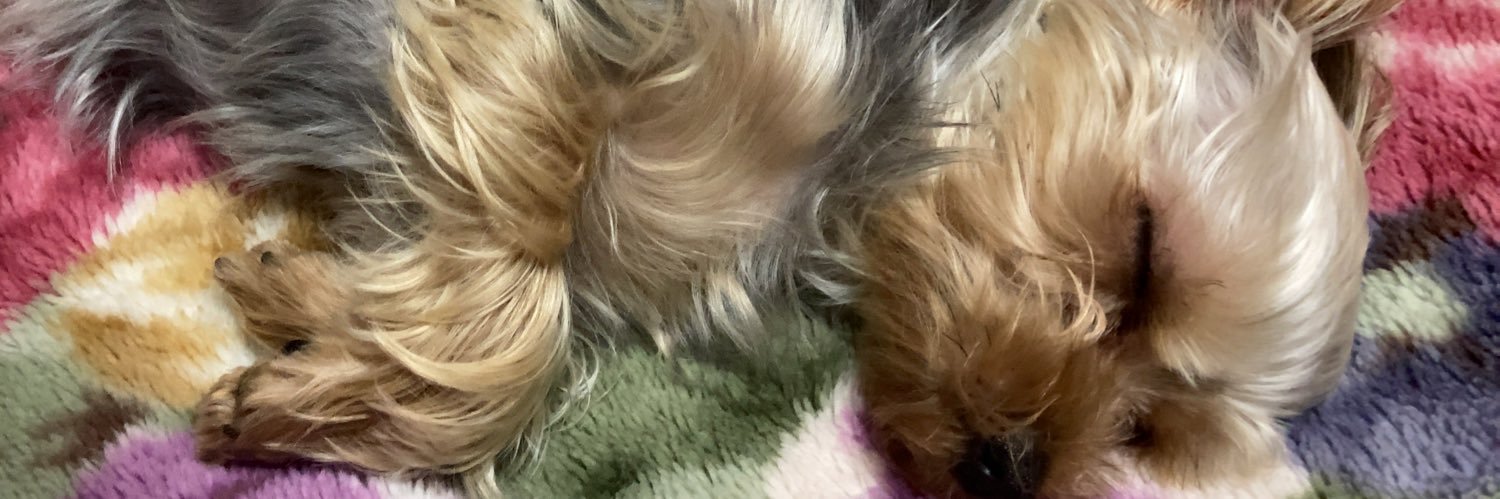 hjipon's profile banner image