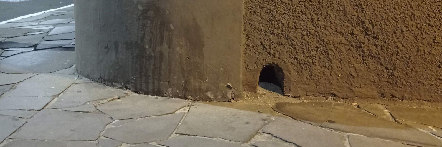 Avelino Maicá🧉 banner