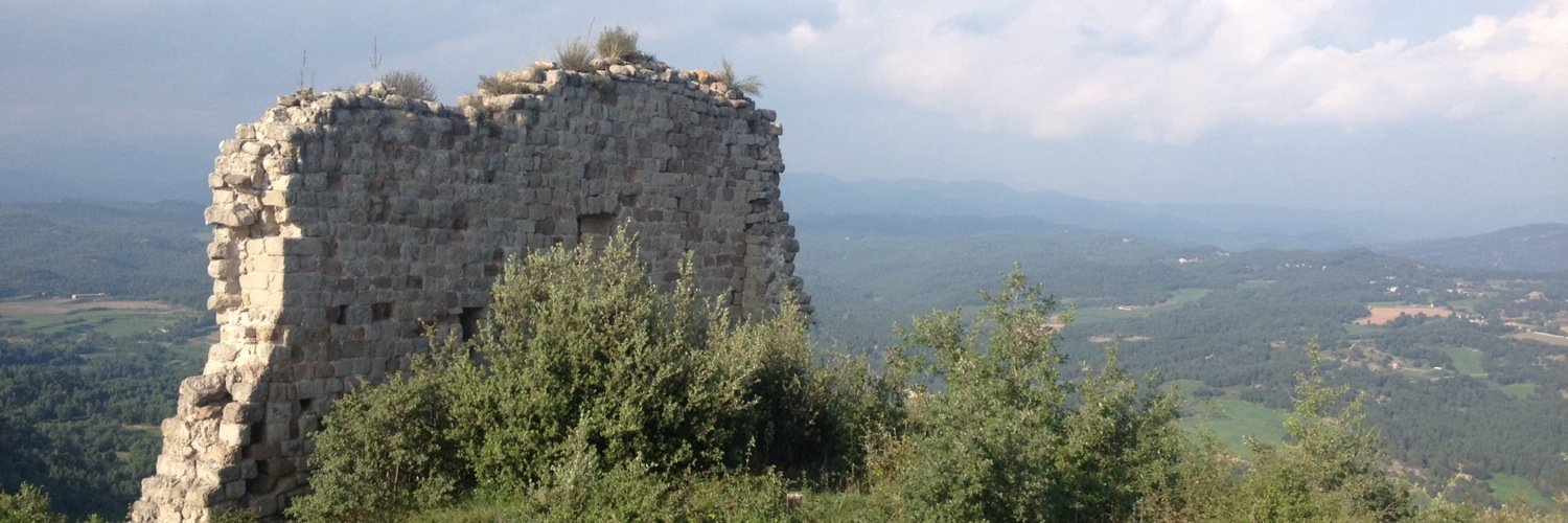 Pep del Soler 🎗 banner