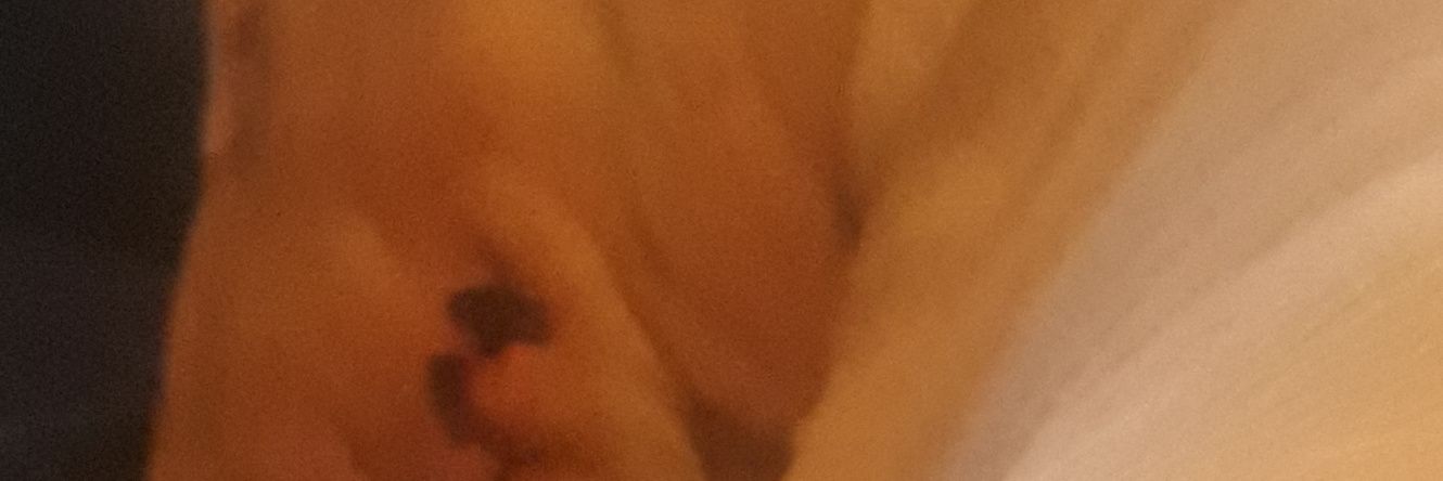 alanedmonds2's profile banner image