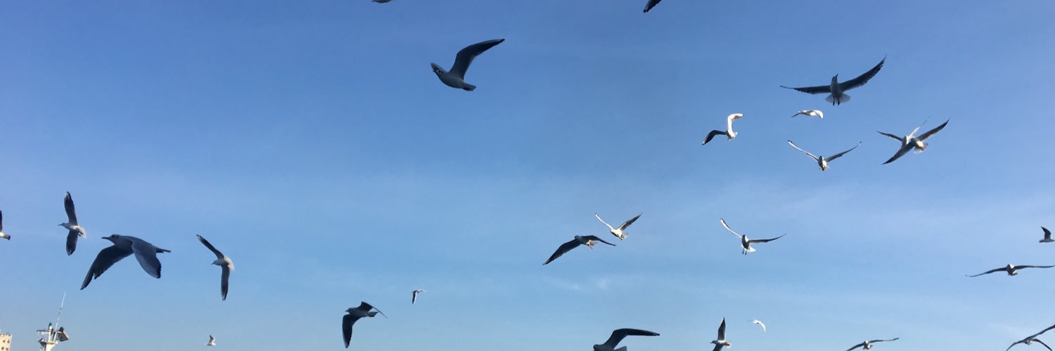 SJaddaa's profile banner image
