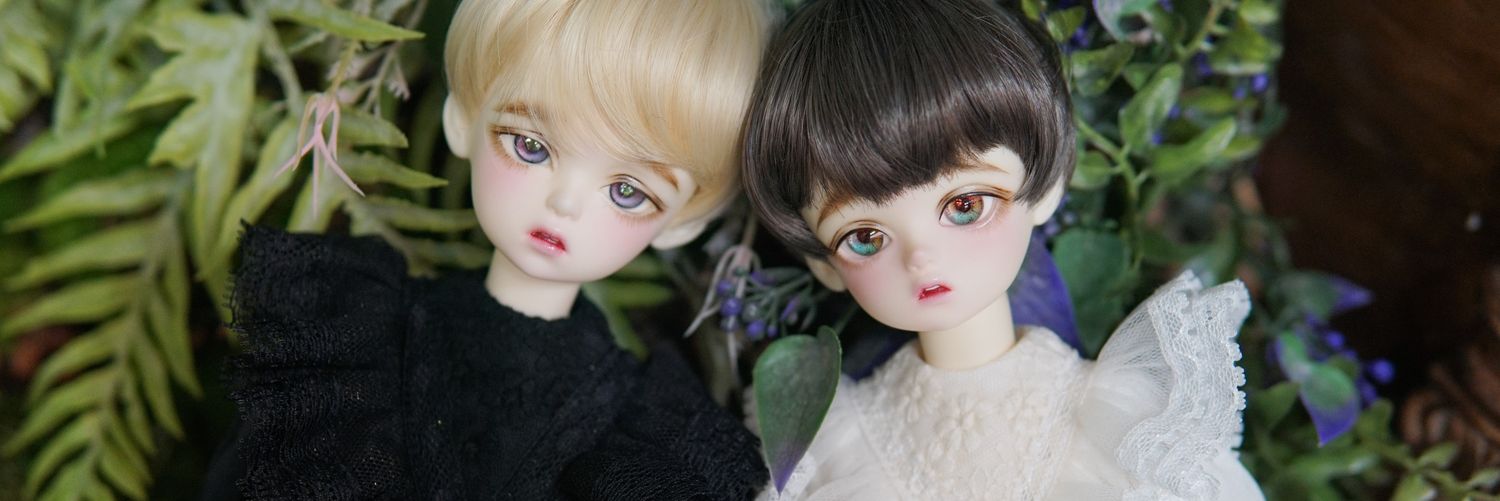 bjd_wind's profile banner image