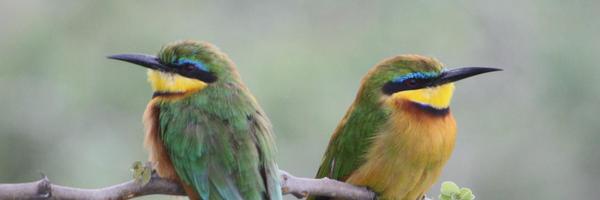 dave_bookless Profile Banner