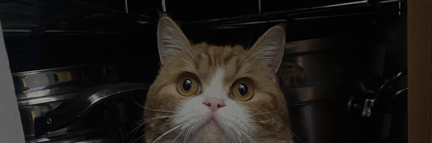 mlsdrn7's profile banner image