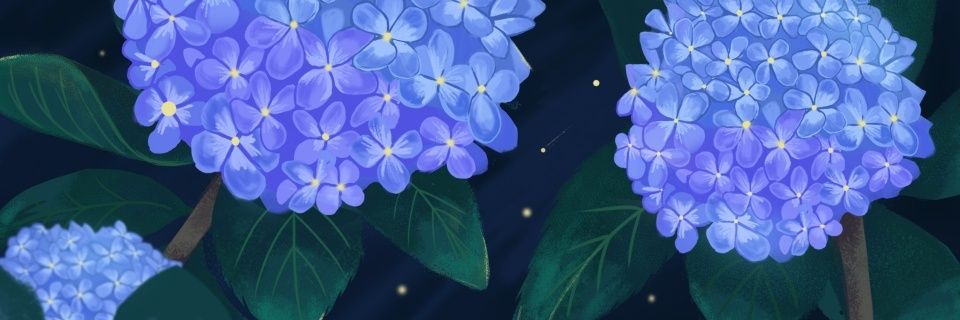 hygrengee's profile banner image