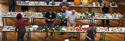 WY Organic Group banner