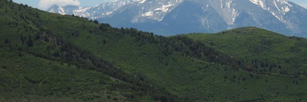 cmchammer Profile Banner