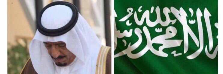 منى النمي banner