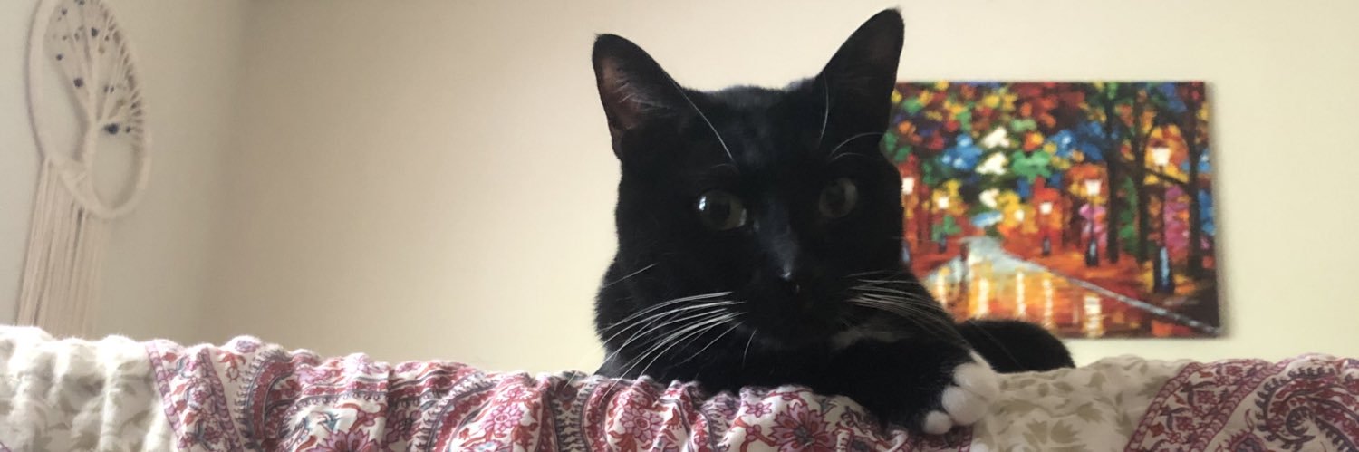 Carlyyzz's profile banner image