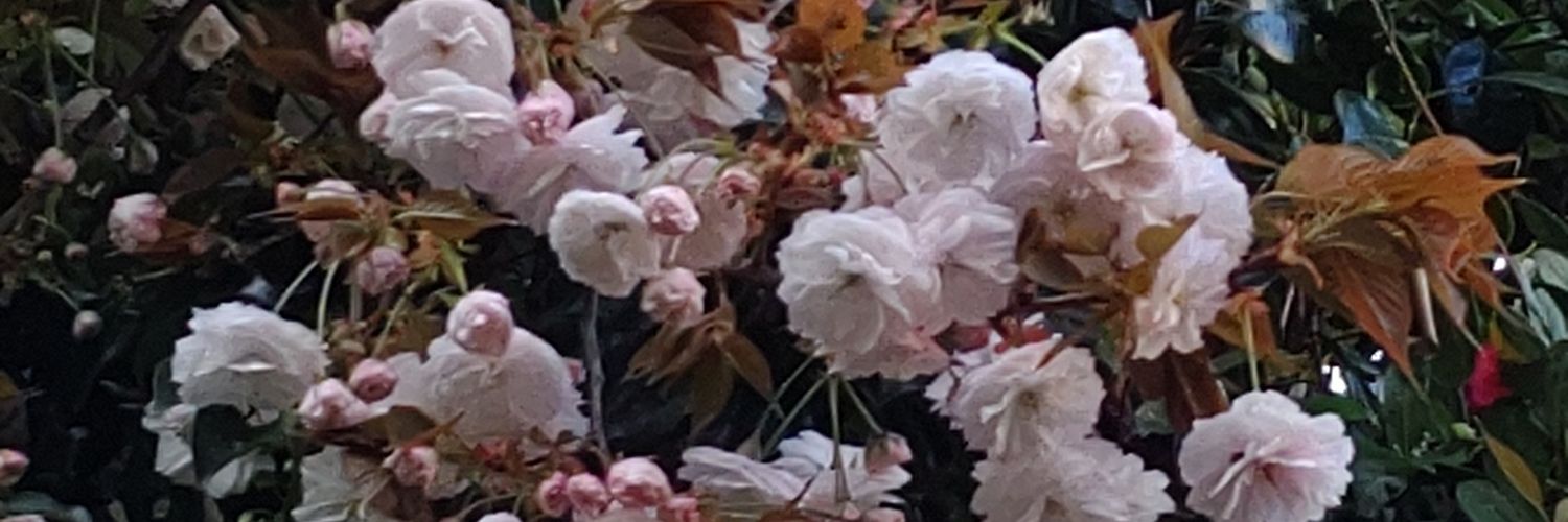 O次郎 banner
