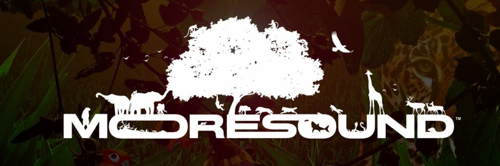 MooreSound™ banner