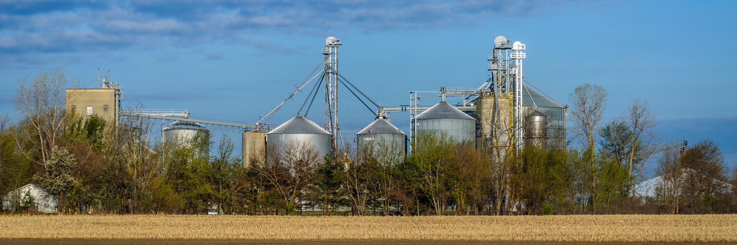 ShidelerGrain's profile banner image