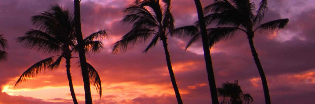 mzulfadlim's profile banner image