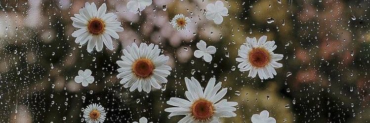 _TheMaui's profile banner image