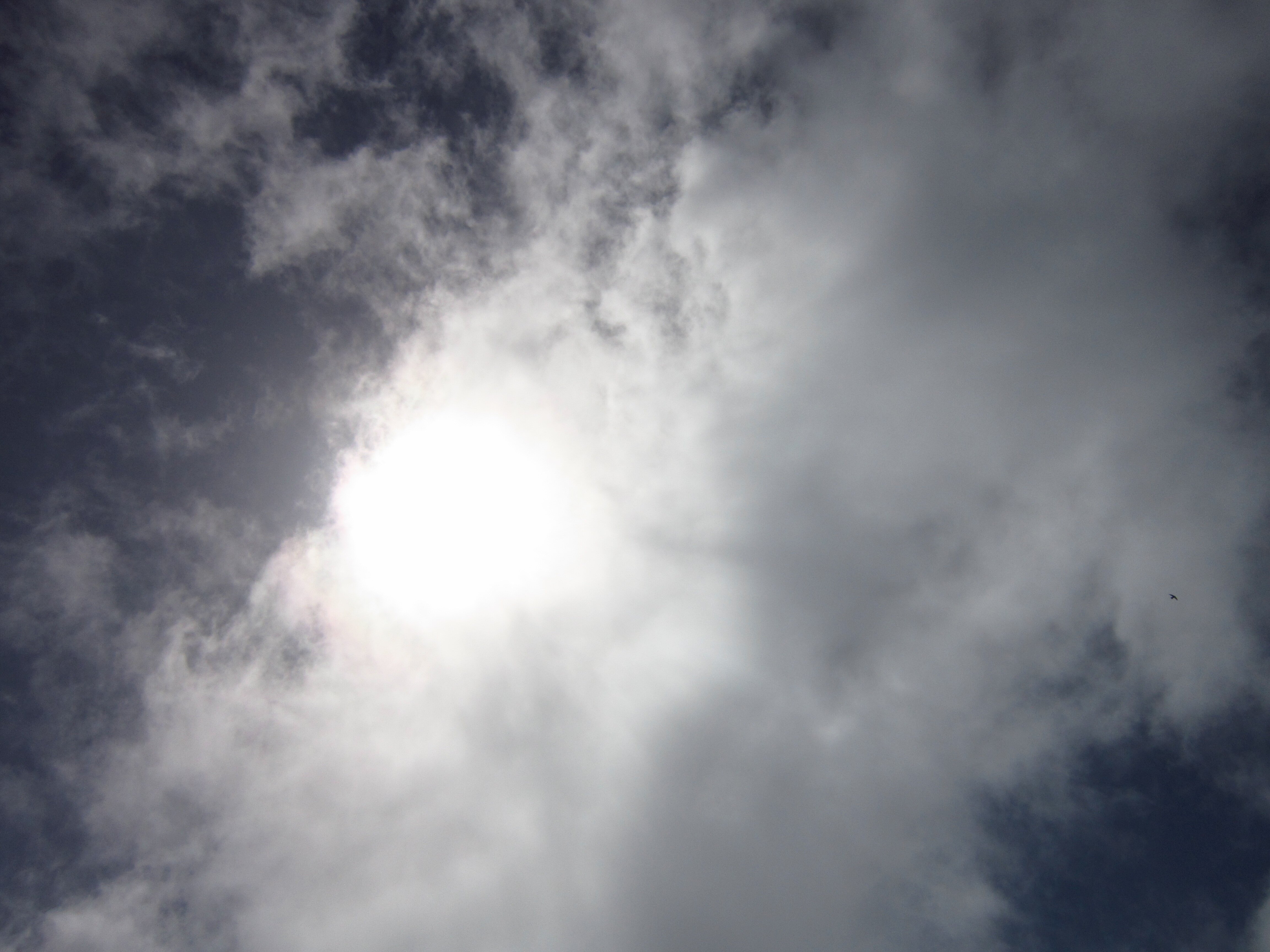 vicky31089's profile banner image