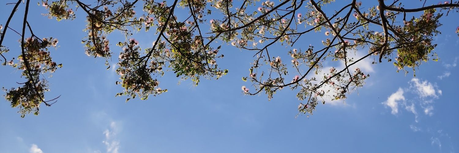 housingsoft's profile banner image