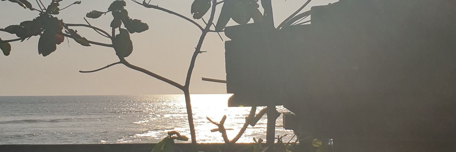 robomaru10's profile banner image