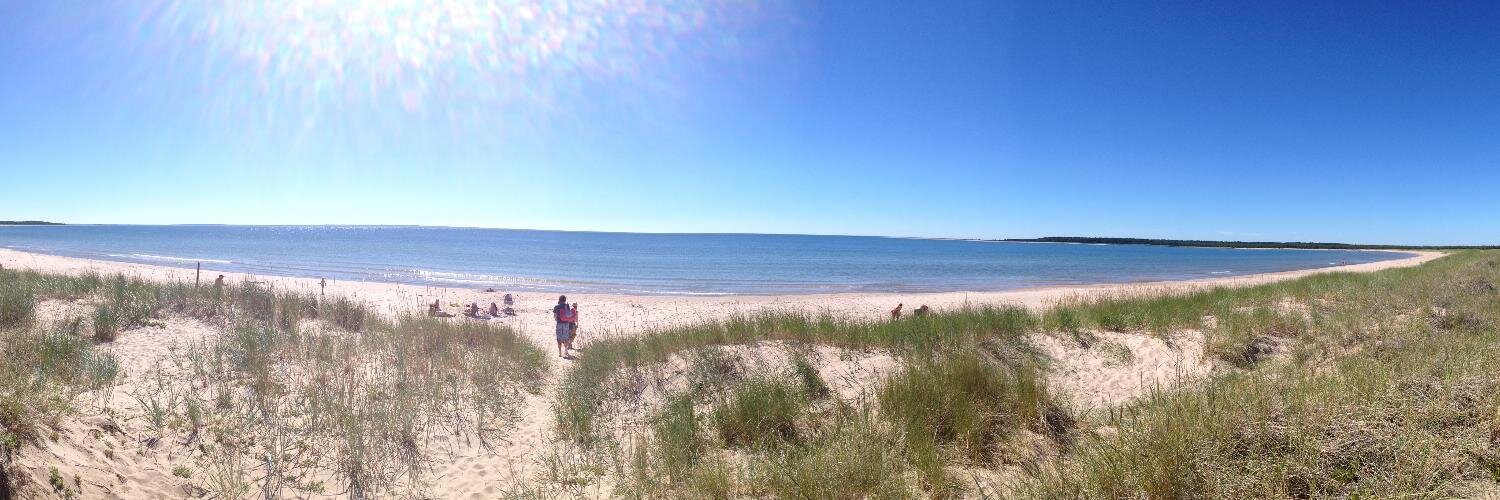 lyoniplika's profile banner image