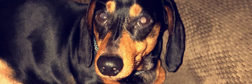 jenkins2015's profile banner image