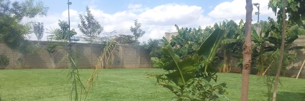 KimothoJohn Profile Banner