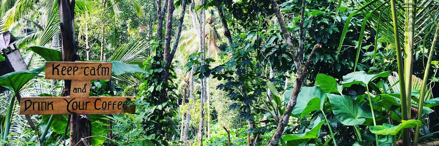 rebeccabeau's profile banner image