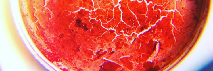 RuthMLloyd's profile banner image