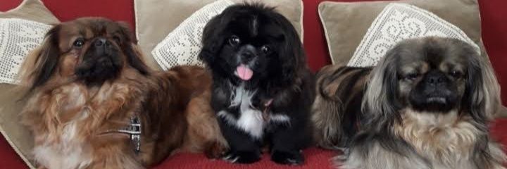 AaronMinou's profile banner image