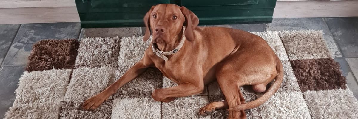 Sophie_Exton's profile banner image