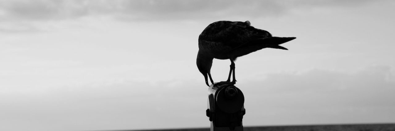 oussama46's profile banner image