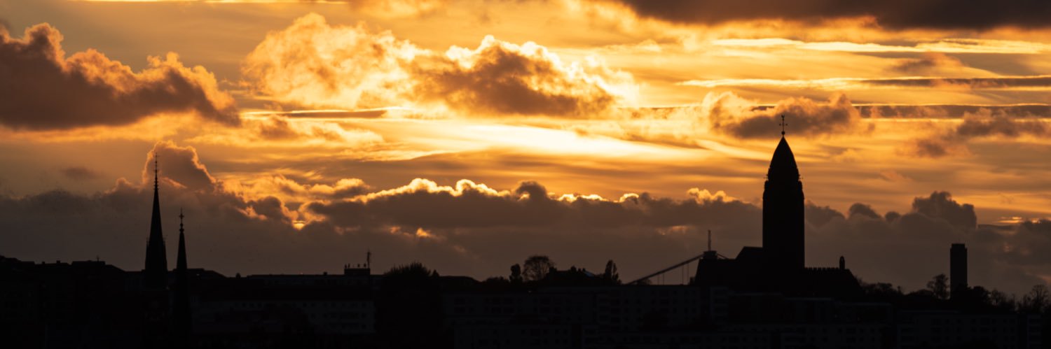 Linus Aldebjer banner