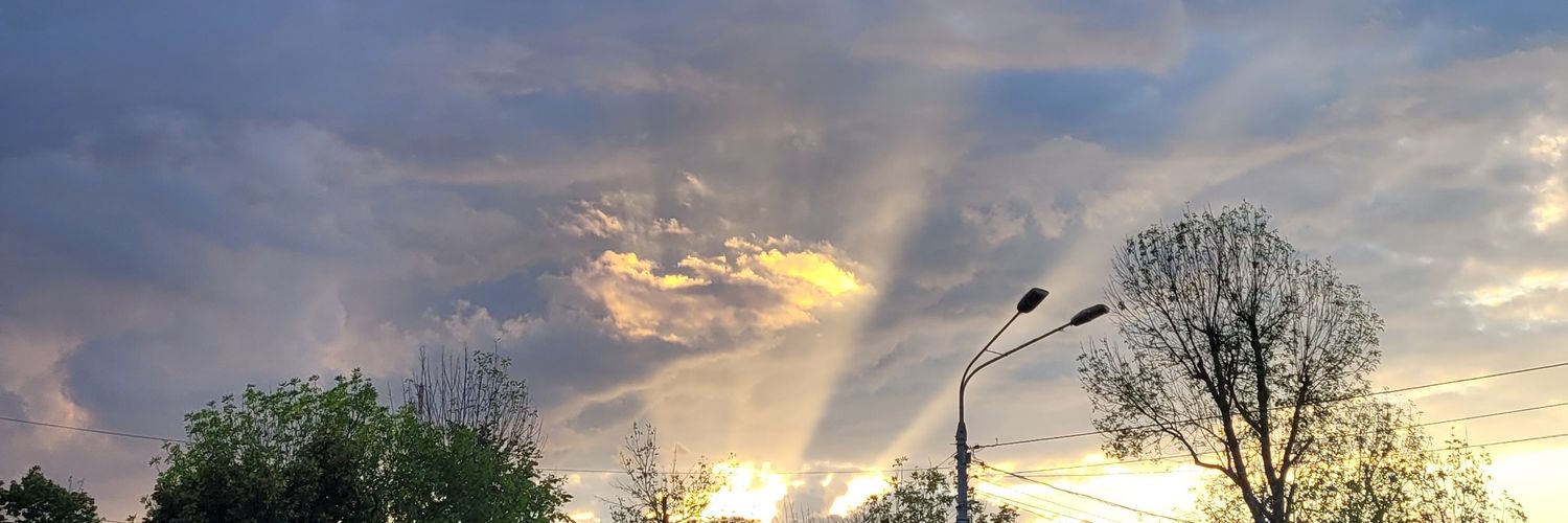 kmaryna8's profile banner image