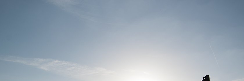 Flore de Crombrugghe banner